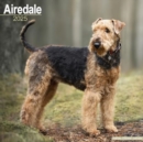 Airedale Calendar 2025 Square Dog Breed Wall Calendar - 16 Month - Book