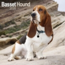 Basset Hound Calendar 2025 Square Dog Breed Wall Calendar - 16 Month - Book