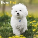 Bichon Frise Calendar 2025 Square Dog Breed Wall Calendar - 16 Month - Book