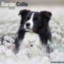 Border Collie Calendar 2025 Square Dog Breed Wall Calendar - 16 Month - Book