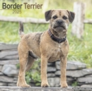 Border Terrier Calendar 2025 Square Dog Breed Wall Calendar - 16 Month - Book