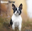 Boston Terrier Calendar 2025 Square Dog Breed Wall Calendar - 16 Month - Book
