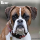 Boxer (Euro) Calendar 2025 Square Dog Breed Wall Calendar - 16 Month - Book