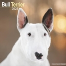 Bull Terrier Calendar 2025 Square Dog Breed Wall Calendar - 16 Month - Book