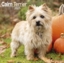 Cairn Terrier Calendar 2025 Square Dog Breed Wall Calendar - 16 Month - Book