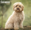 Cavapoo Calendar 2025 Square Dog Breed Wall Calendar - 16 Month - Book