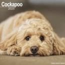 Cockapoo Calendar 2025 Square Dog Breed Wall Calendar - 16 Month - Book