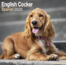 English Cocker Spaniel Calendar 2025 Square Dog Breed Wall Calendar - 16 Month - Book