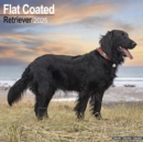 Flatcoated Retriever Calendar 2025 Square Dog Breed Wall Calendar - 16 Month - Book