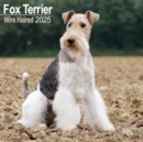 Fox Terrier Wirehaired Calendar 2025 Square Dog Breed Wall Calendar - 16 Month - Book