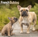 French Bulldog Calendar 2025 Square Dog Breed Wall Calendar - 16 Month - Book