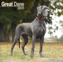 Great Dane (Euro) Calendar 2025 Square Dog Breed Wall Calendar - 16 Month - Book