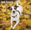 Jack Russell Calendar 2025 Square Dog Breed Wall Calendar - 16 Month - Book