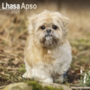 Lhasa Apso Calendar 2025 Square Dog Breed Wall Calendar - 16 Month - Book