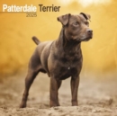 Patterdale Terrier Calendar 2025 Square Dog Breed Wall Calendar - 16 Month - Book
