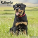 Rottweiler Calendar 2025 Square Dog Breed Wall Calendar - 16 Month - Book