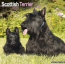 Scottish Terrier Calendar 2025 Square Dog Breed Wall Calendar - 16 Month - Book