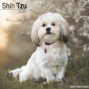 Shih Tzu Calendar 2025 Square Dog Breed Wall Calendar - 16 Month - Book