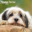 Tibetan Terrier Calendar 2025 Square Dog Breed Wall Calendar - 16 Month - Book
