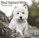 West Highland White Terrier Calendar 2025 Square Dog Breed Wall Calendar - 16 Month - Book