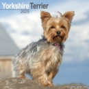 Yorkshire Terrier Calendar 2025 Square Dog Breed Wall Calendar - 16 Month - Book