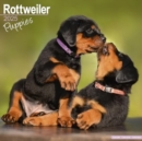 Rottweiler Puppies Calendar 2025 Square Dog Puppy Breed Wall Calendar - 16 Month - Book