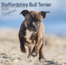Staffordshire Bull Terrier Puppies Calendar 2025 Square Dog Puppy Breed Wall Calendar - 16 Month - Book