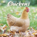 Chickens Calendar 2025 Square Farm Animals & Birds Wall Calendar - 16 Month - Book