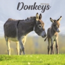 Donkeys Calendar 2025 Square Animal Wall Calendar - 16 Month - Book