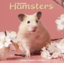 Hamsters Calendar 2025 Square Animal Wall Calendar - 16 Month - Book