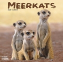 Meerkats Calendar 2025 Square Wildlife Safari Wall Calendar - 16 Month - Book
