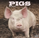 Pigs Calendar 2025 Square Farm Animal Wall Calendar - 16 Month - Book