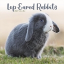 Rabbits - Lop Eared Calendar 2025 Square Animal Wall Calendar - 16 Month - Book