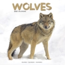 Wolves Calendar 2025 Square Animal Wall Calendar - 16 Month - Book