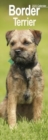 Border Terrier Slim Calendar 2025 Dog Breed Slimline Calendar - 12 Month - Book