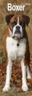 Boxer Slim Calendar 2025 Dog Breed Slimline Calendar - 12 Month - Book