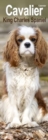 Cavalier King Charles Slim Calendar 2025 Dog Breed Slimline Calendar - 12 Month - Book