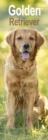 Golden Retriever Slim Calendar 2025 Dog Breed Slimline Calendar - 12 Month - Book