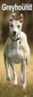 Greyhound Slim Calendar 2025 Dog Breed Slimline Calendar - 12 Month - Book