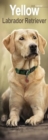 Yellow Labrador Retriever Slim Calendar 2025 Dog Breed Slimline Calendar - 12 Month - Book