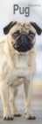 Pug Slim Calendar 2025 Dog Breed Slimline Calendar - 12 Month - Book