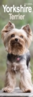 Yorkshire Terrier Slim Calendar 2025 Dog Breed Slimline Calendar - 12 Month - Book