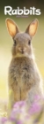 Rabbits Slim Calendar 2025 Cute Slimline Calendar - 12 Month - Book