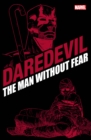 Daredevil: The Man Without Fear - Book