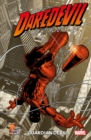 Daredevil: Guardian Devil - Book