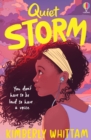 Quiet Storm - eBook