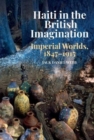 Haiti in the British Imagination : Imperial Worlds, 1847-1915 - Book