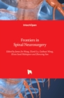 Frontiers in Spinal Neurosurgery - Book