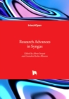 Research Advances in Syngas - Book