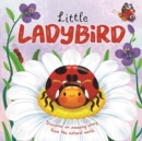 Little Ladybird - Book